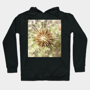 Make a Powerful Wish with a Dandelion Poof Hoodie